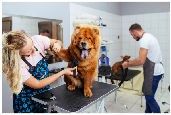 Pet Grooming Salon