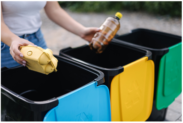 Waste Bin Management